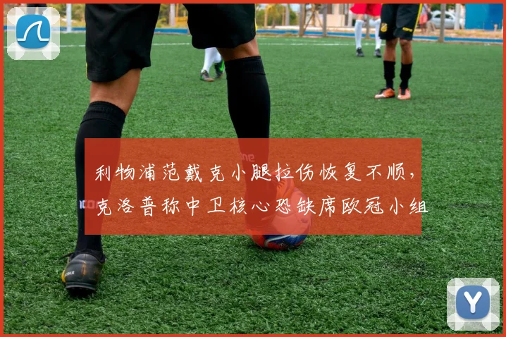 利物浦范戴克小腿拉伤恢复不顺,克洛普称中卫核心恐缺席欧冠小组赛