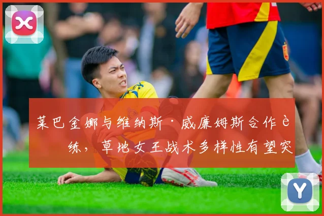 莱巴金娜与维纳斯·威廉姆斯合作训练,草地女王战术多样性有望突破