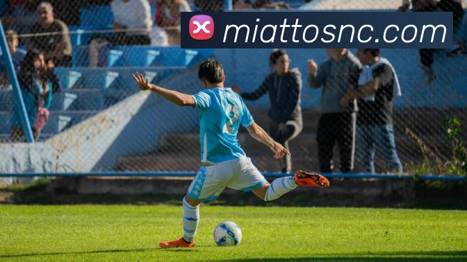 APP界面展示
